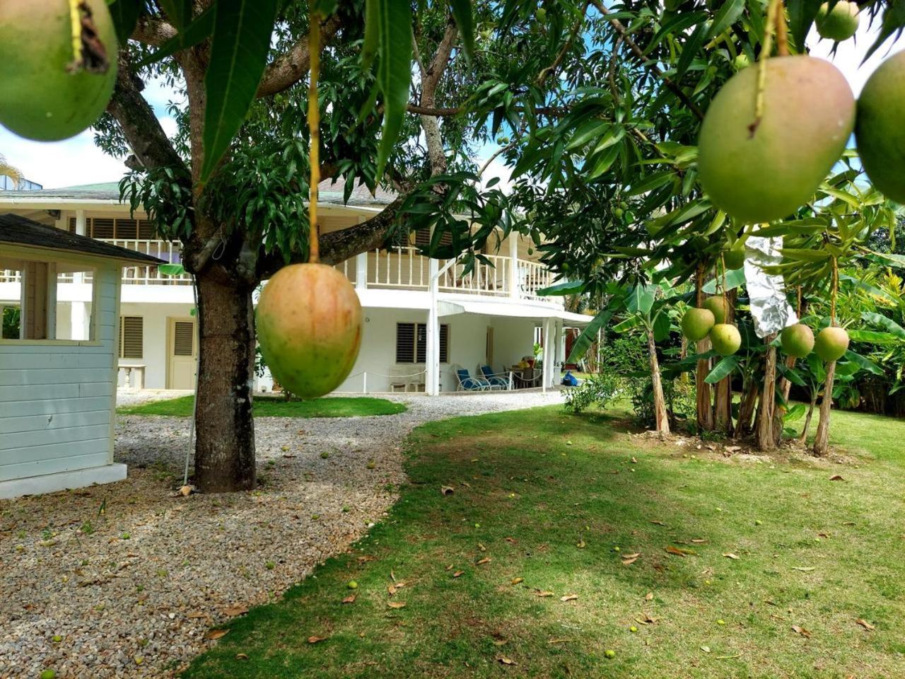 Hotel Casa Robinson Las Terrenas Exterior photo