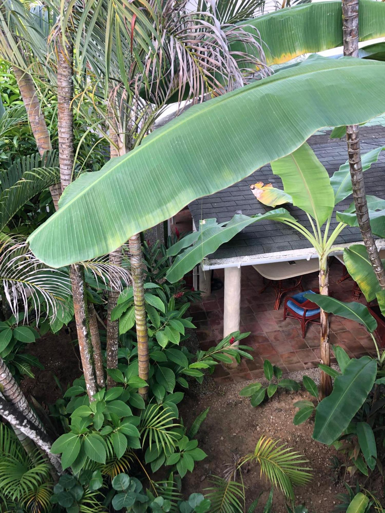 Hotel Casa Robinson Las Terrenas Exterior photo