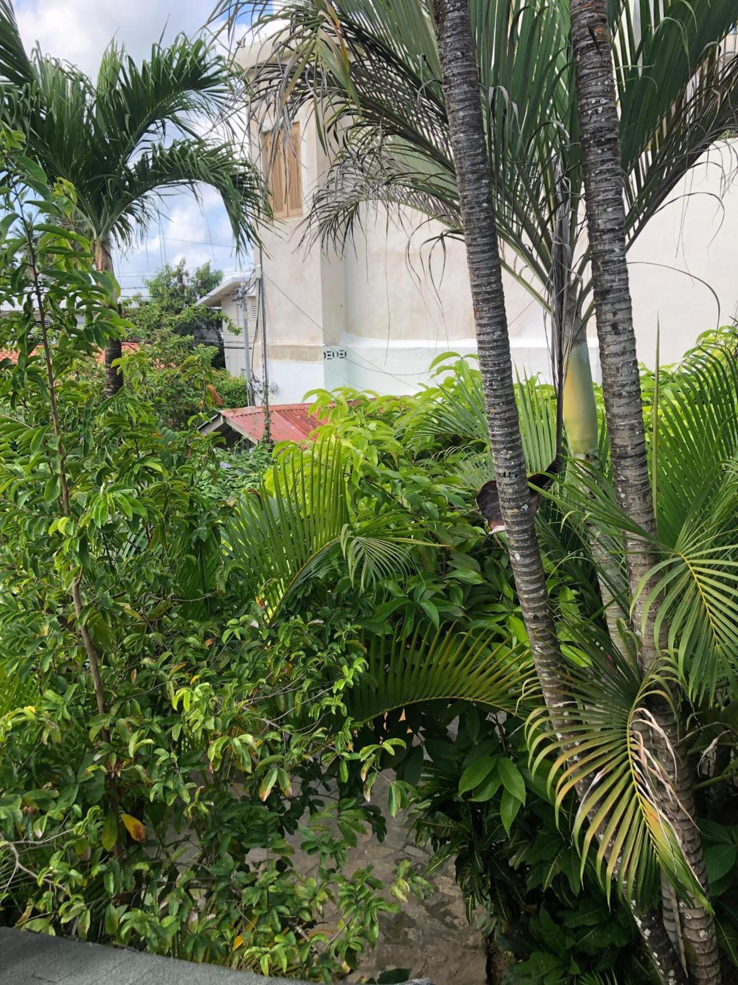 Hotel Casa Robinson Las Terrenas Exterior photo