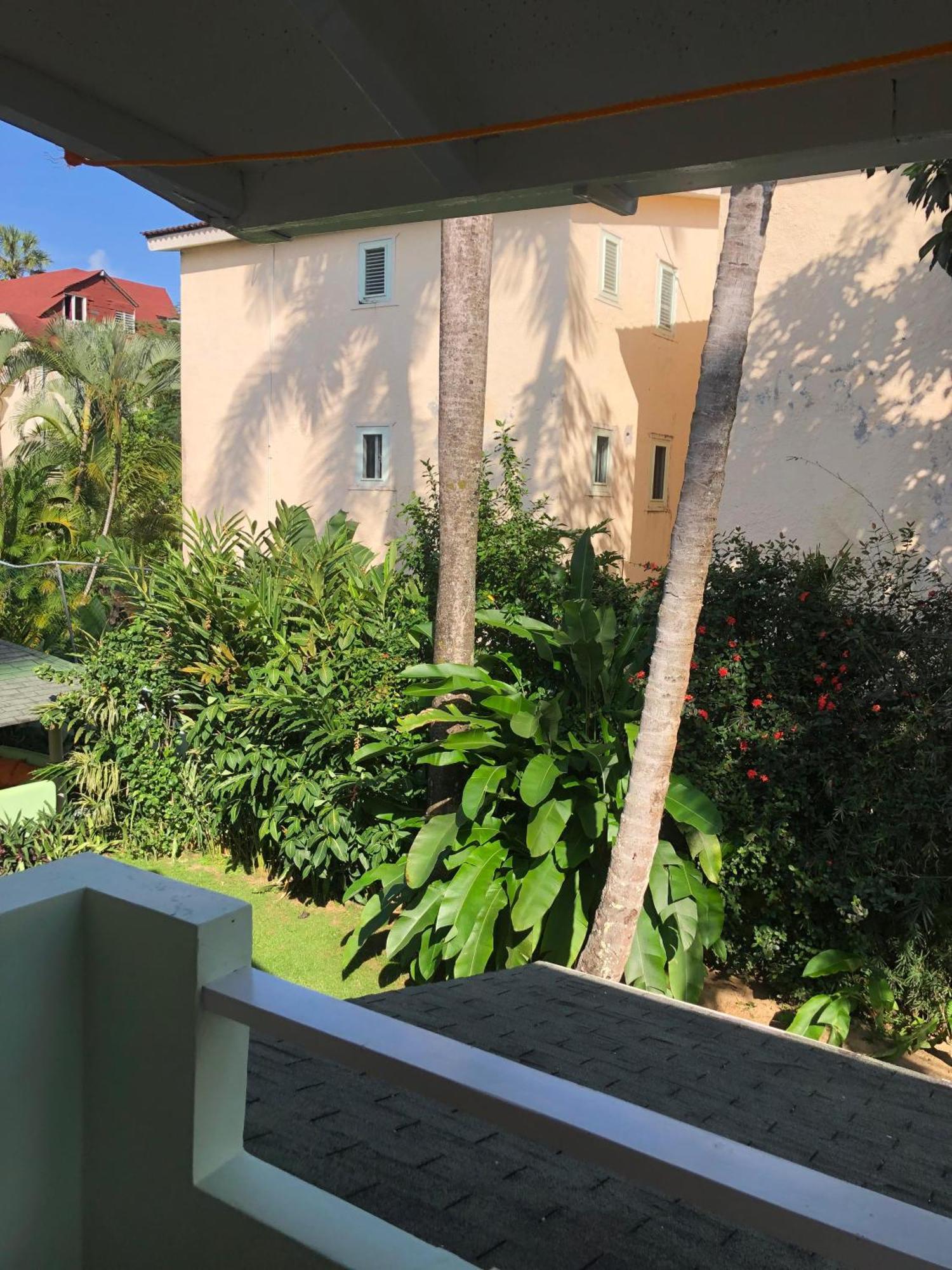 Hotel Casa Robinson Las Terrenas Exterior photo